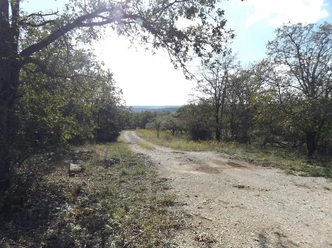 N60 County Line Rd, Jacksboro, TX 76458 - MLS 20461754 for Sale