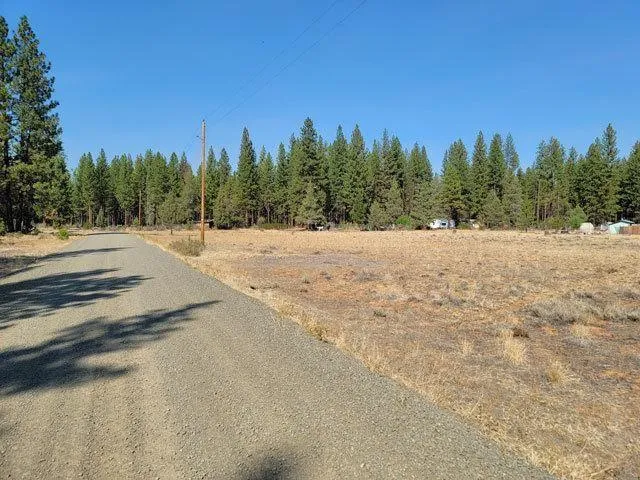 Mcarthur, Shasta County, CA Undeveloped Land, Homesites for sale Property ID: 417632275