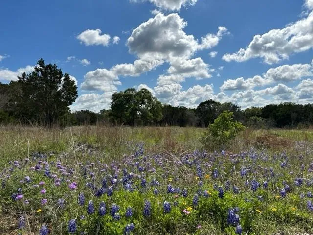 72A Oak Vista Dr, Burnet, TX 78611 for Sale