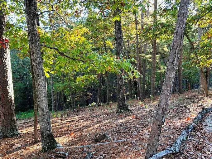 8 ANGUS, Eureka Springs, AR 72632 Land For Sale  MLS# 1259965