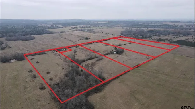 lot 3 TBD CR 2438, Alto, TX 75925 for Sale