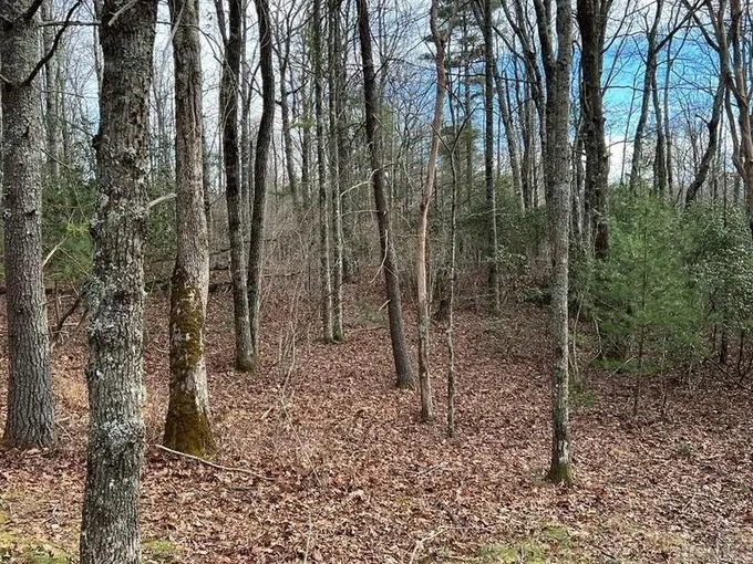 Glenville, Jackson County, NC Undeveloped Land, Homesites for sale Property ID: 418555231