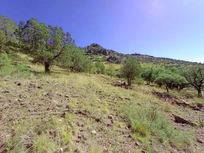 519 Squaw Valley Trail, Fort Davis, TX 79734 for Sale