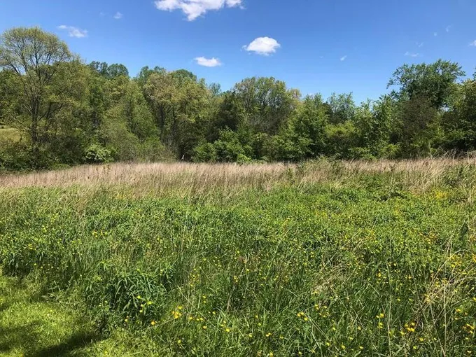 TBD LEE HWY, Bristol, VA 24202 Land For Sale  MLS# 92256