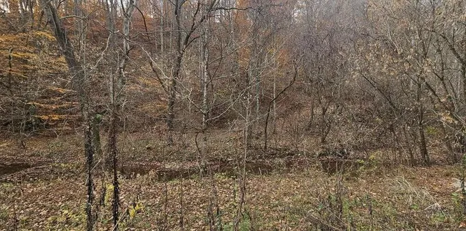 Tbd Caney Valley Loop, Surgoinsville, TN 37873  608765036 for Sale