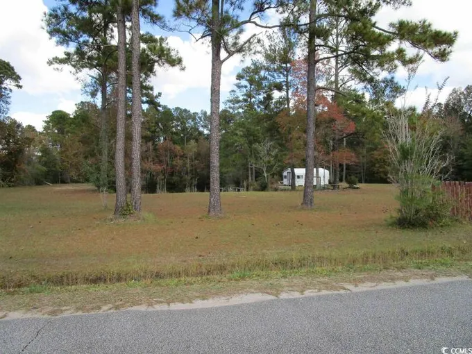 Conway, Horry County, SC Undeveloped Land, Homesites for sale Property ID: 418147314
