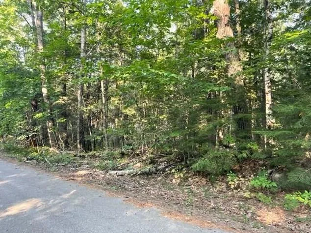 Lovejoy Shores Dr, Fayette, ME 04349 - MLS 1569123 for Sale