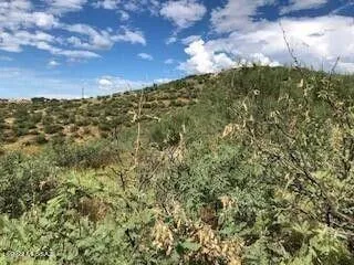 Rio Rico, Santa Cruz County, AZ for sale Property ID: 414931209