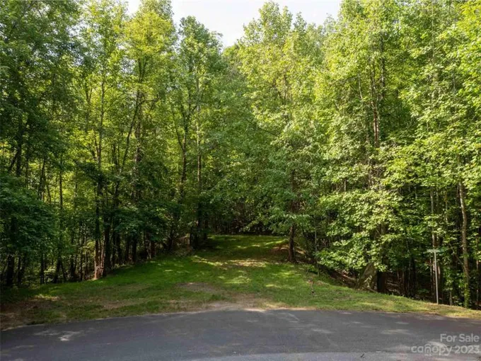 00 WATERSIDE DRIVE, Lake Lure, NC 28746 Land For Sale  MLS# 4028292