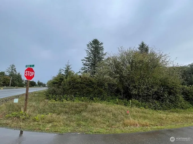 961 Point Brown Ave SE, Ocean Shores, WA 98569 - MLS 2169761 for Sale