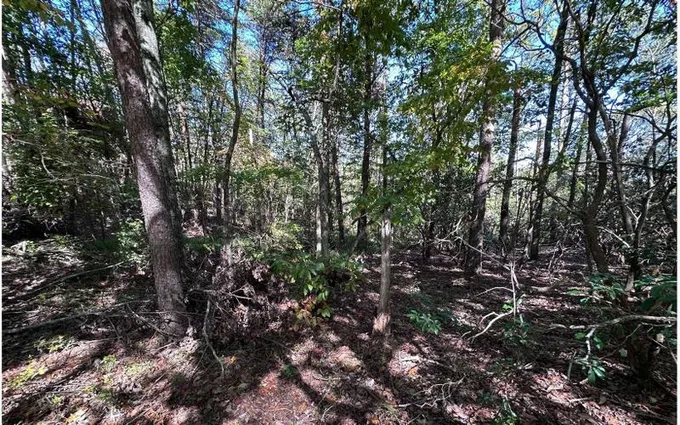 Jasper, Pickens County, GA Homesites for sale Property ID: 418047697