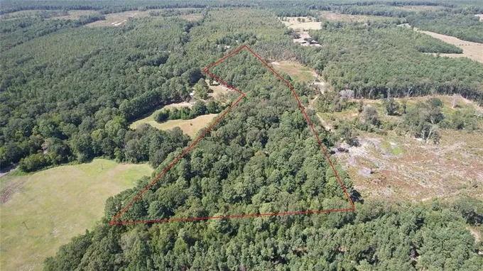 00 Plainview Rd, Pineland, TX 75968 for Sale