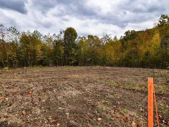 Kingwood, Preston County, WV Undeveloped Land, Homesites for sale Property ID: 418141477