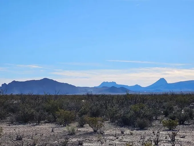 Terlingua, Brewster County, TX Undeveloped Land for sale Property ID: 418625910
