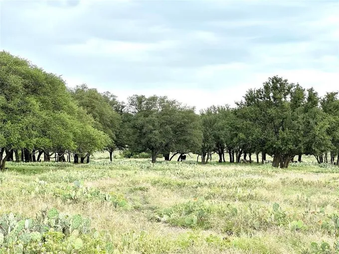 40 County Road 128, Mullin, TX 76864 for Sale