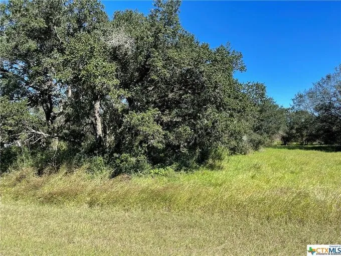 158 Pura Vida, Inez, TX 77968 for Sale