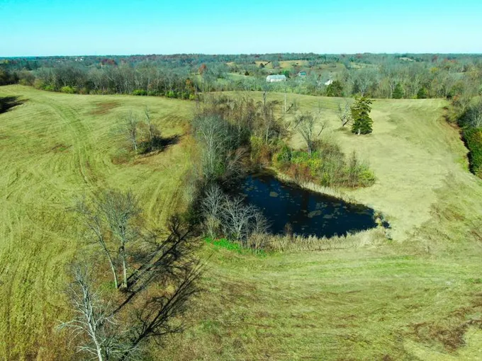 664 DAVIS LN, Cynthiana, KY 41031 Farm For Sale  MLS# 23022318