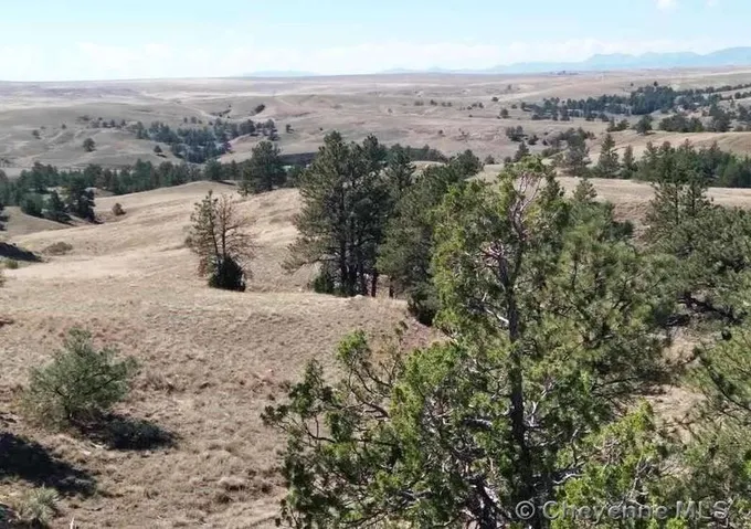 0 COTTONWOOD RD, Wheatland, WY 82214  617602197 for Sale