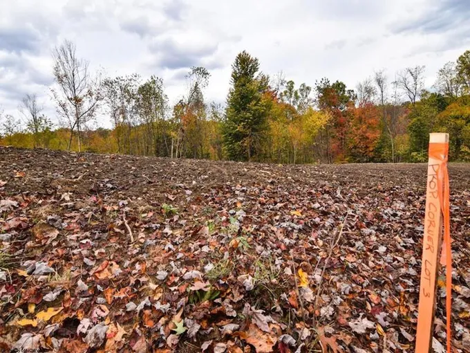 Kingwood, Preston County, WV Undeveloped Land, Homesites for sale Property ID: 418141472