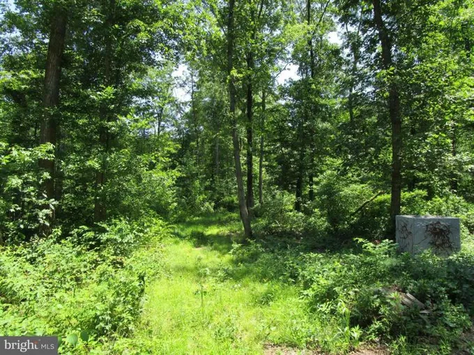 123 SANDTOWN RD, FELTON, DE 19943 Land For Sale  MLS# DEKT2012648
