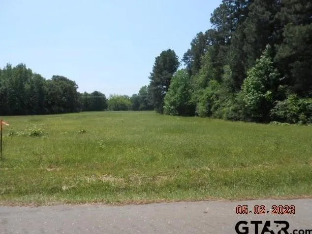 Lot 1 & Ac Cr 216 & Cr 217, Henderson, TX 75652 - MLS 23005626 for Sale