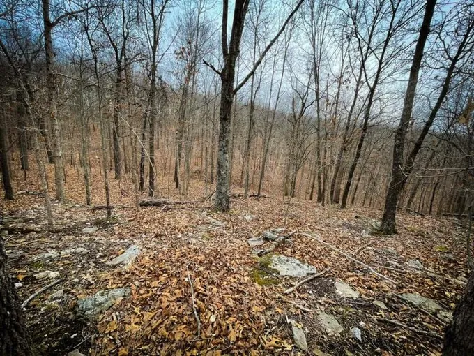 Edwards, Benton County, MO for sale Property ID: 418471297