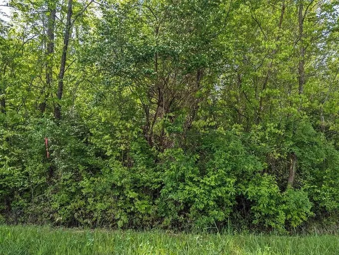 Newport, birde County, TN Undeveloped Land, Homesites for sale Property ID: 416725406