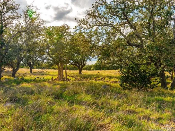 18 Legacy Oaks Drive, Harper, TX 78631 for Sale