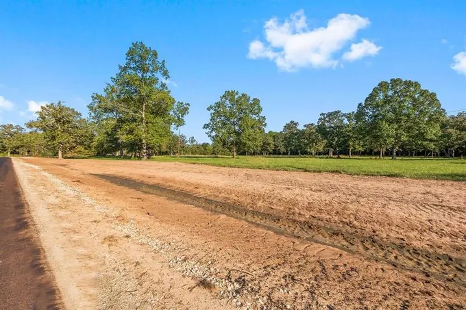Lot 17 Alans Memorial Lane, New Waverly, TX 77358 for Sale