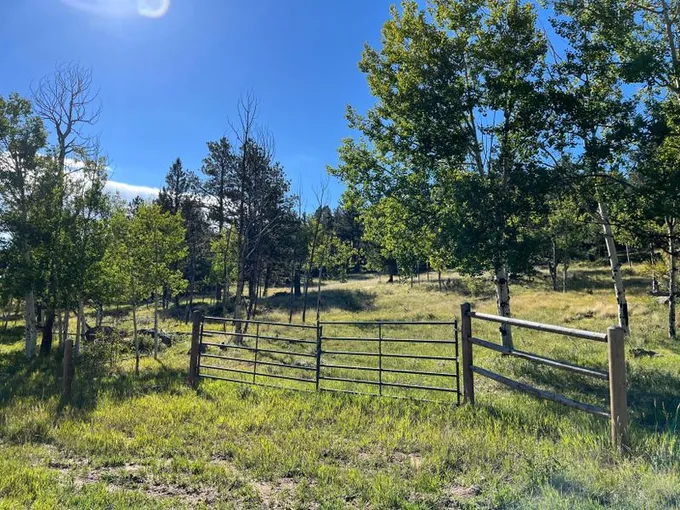 Florissant, Park County, CO Recreational Property, Undeveloped Land for sale Property ID: 417765804