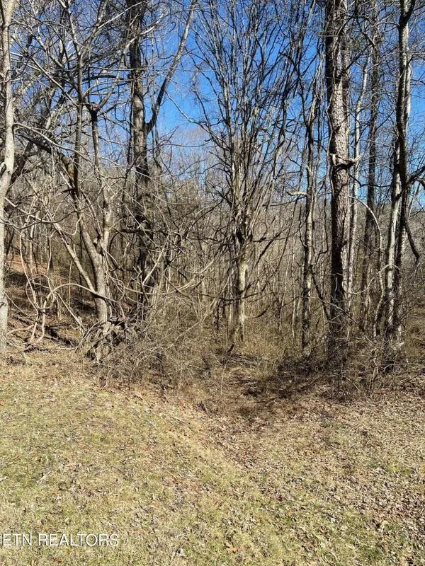 Rockwood, Roane County, TN for sale Property ID: 417782062