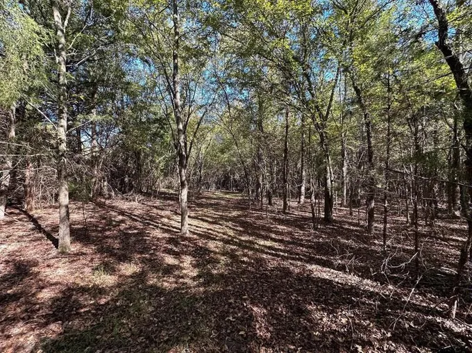 403 Co Rd 4885, Winnsboro, TX 75494 - MLS 23016577 for Sale