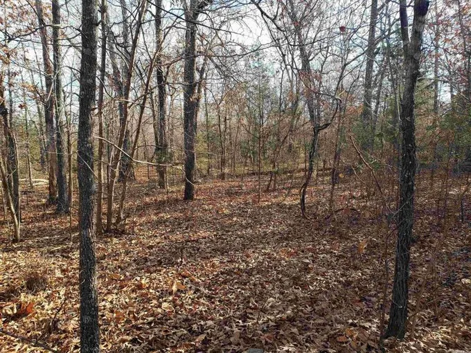 Cherokee Village, Sharp County, AR Undeveloped Land, Homesites for sale Property ID: 412380452