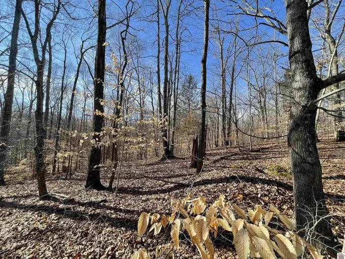 Cadiz, Trigg County, KY Undeveloped Land, Homesites for sale Property ID: 415666438