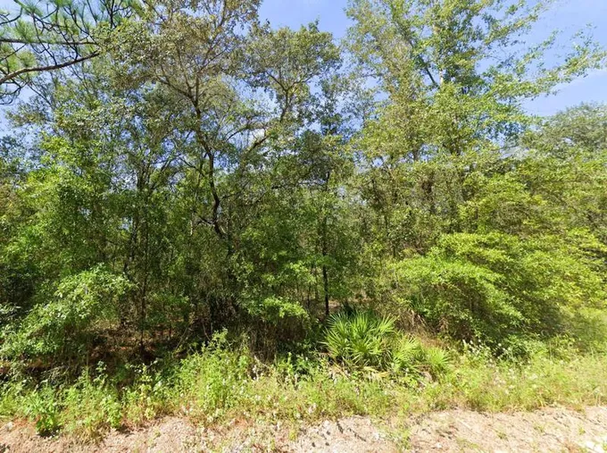 Bronson, Levy County, FL Undeveloped Land, Homesites for sale Property ID: 418683585