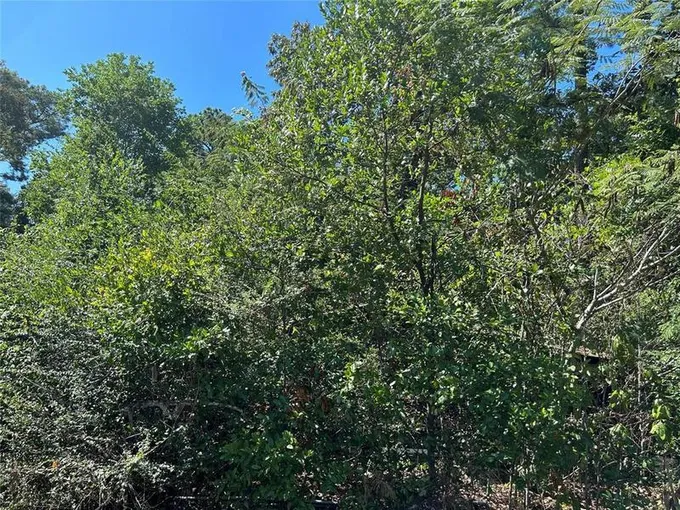 130 COUNTY ROAD 4151, Woodville, TX 75979 Land For Sale  MLS# 90923558