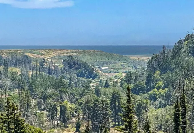906 Swanton View Rd, Davenport, CA 95017 - MLS ML81932299 for Sale