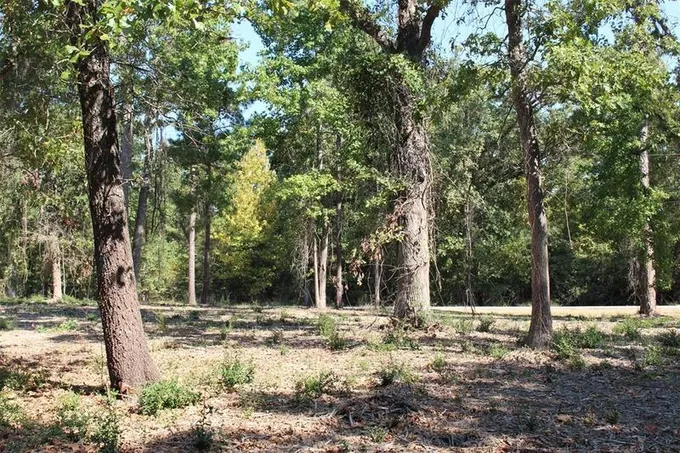 000 Tram Rd, Crockett, TX 75835 for Sale