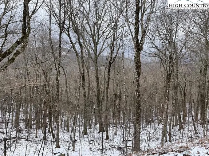 Lot 98 Elk Creek Mountain, Todd, NC 28684 - MLS 242362 for Sale