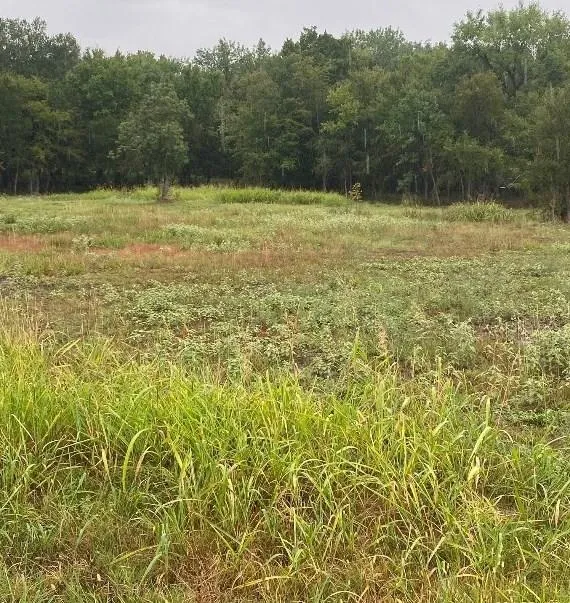 17 D Cedar, Mexia, TX 76667 - MLS 20504253 for Sale