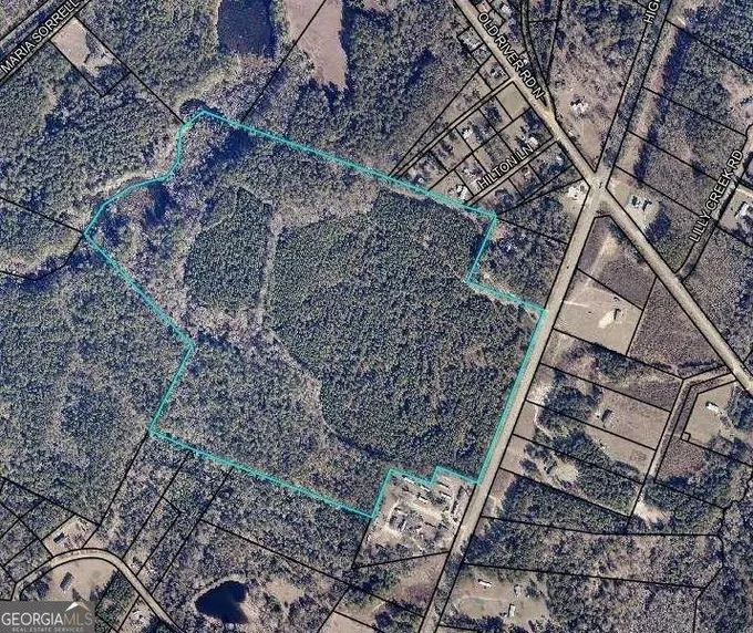 Statesboro, Bulloch County, GA Farms and Ranches for sale Property ID: 418666610