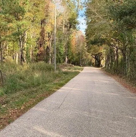 Sun, Washington Parish, LA Undeveloped Land, Homesites for sale Property ID: 418233999