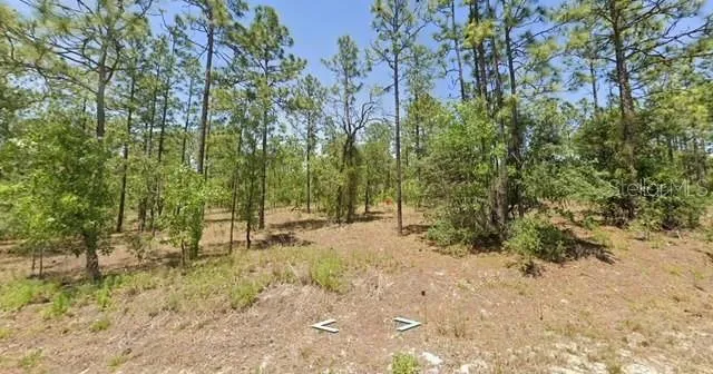 0 NW HEMLOCK AVENUE, DUNNELLON, FL 34431 Land For Sale  MLS# O6150739 for Rent