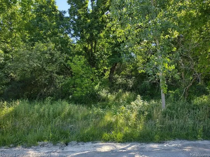 000 Lot B Porteous Rd, Orion Township, MI 48362 - MLS 20221009952 for Sale