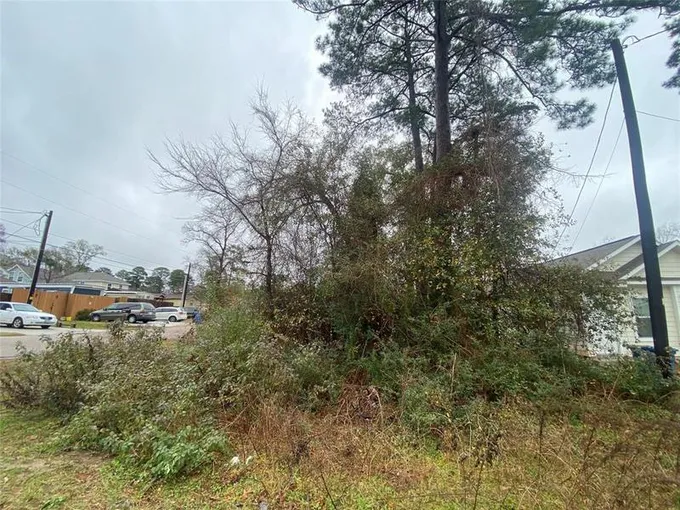 801 Palmdate, Montgomery, TX 77316 for Sale