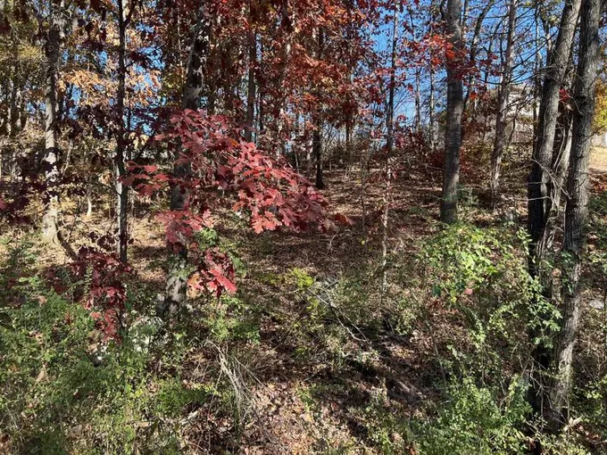 Soddy Daisy, Hamilton County, TN Undeveloped Land, Homesites for sale Property ID: 418212345