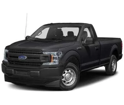 2019 Ford F-150 XL for Sale