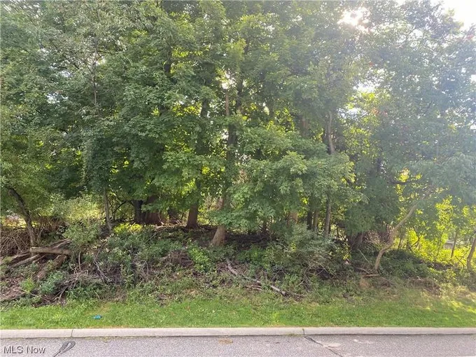 V/L BROADVIEW RD ROAD, Broadview Heights, OH 44147 Single Family Residence For Sale  MLS# 4486808
