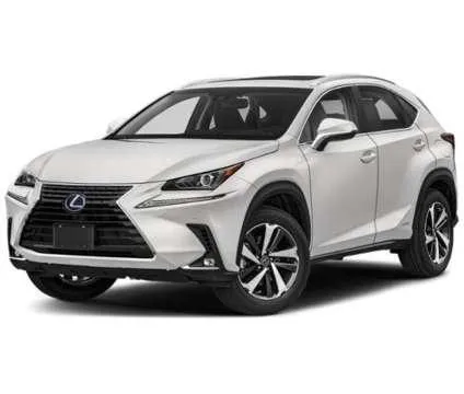 2021 Lexus NX 300h NX 300h for Sale