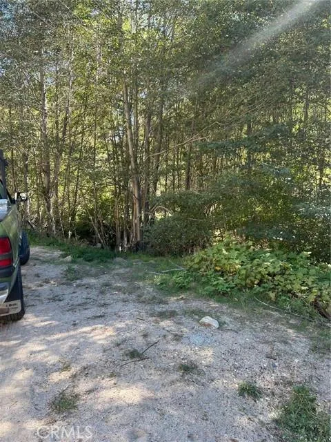 0 HOOK CREEK ROAD, Cedar Glen, CA 92321 Land For Sale  MLS# RW23199728